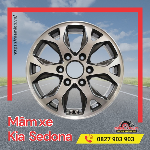 cac mau mam xe kia sedona pho bien