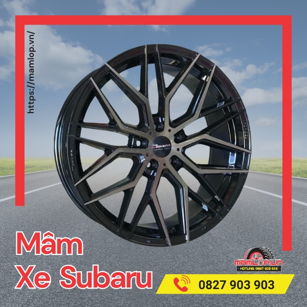 mam xe subaru gia bao nhieu