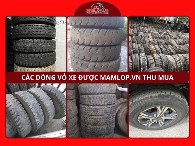 Các dòng vỏ xe được Mamlop.vn thu mua