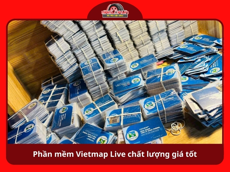 Vietmap Live